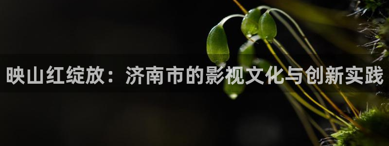 good影院久久：映山红绽放：济南市的影视文化与创新实践