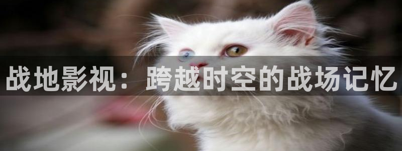 久久影院国内：战地影视：跨越时空的战场记忆