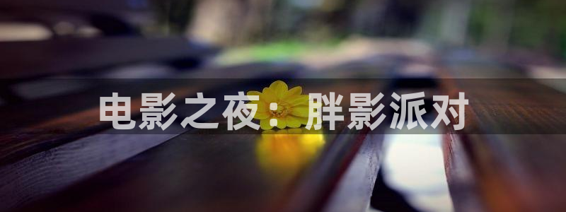 久久久久久影视网址：电影之夜：胖影派对